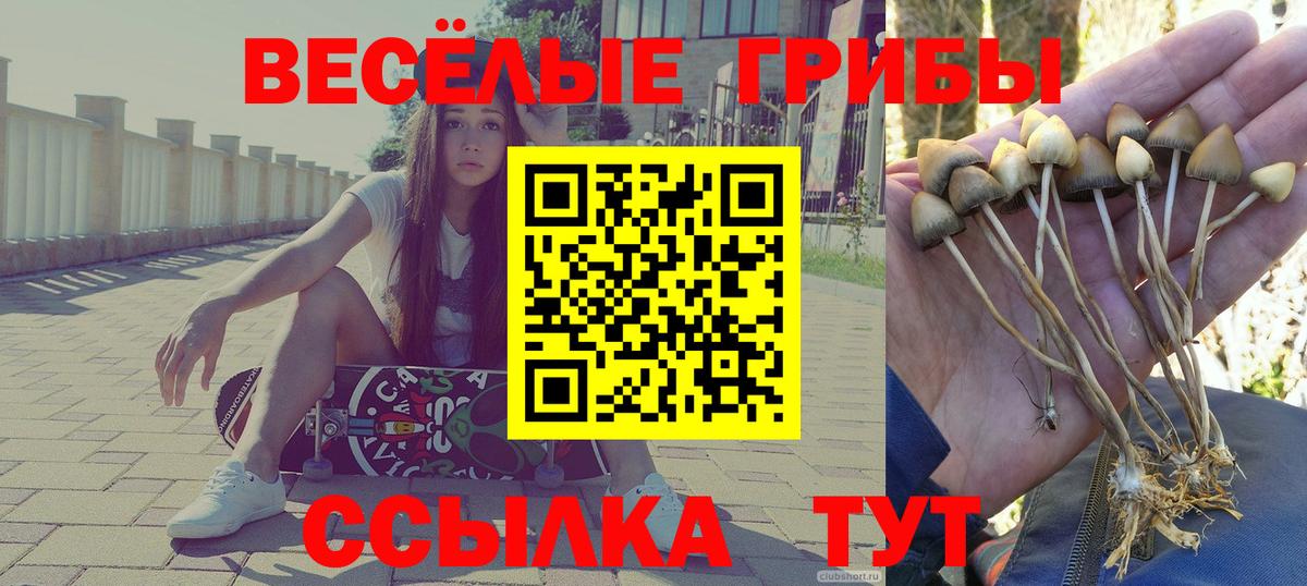 Псилоцибиновые грибы ЛСД Магадан