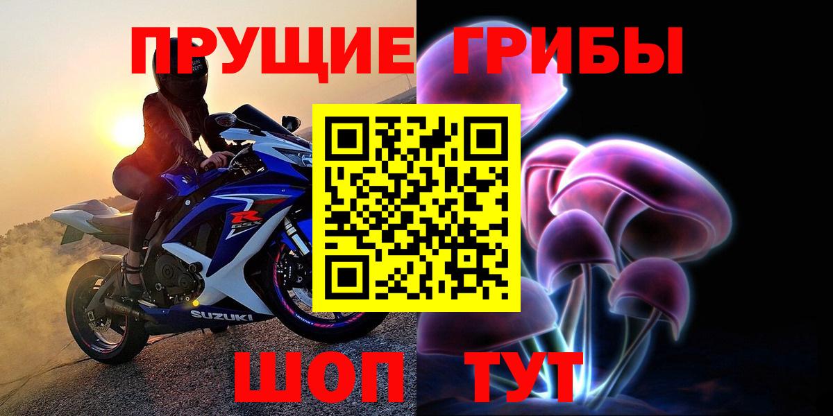 Магадан  Галлюциногенные грибы ЛСД  купить наркотик  Вход с VPN  Псилоцибиновые грибы GOLDEN TEACHER 